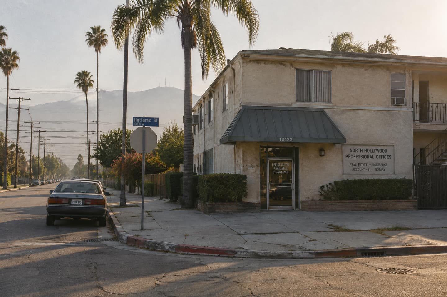 A quiet North Hollywood corner with palm trees in late-afternoon light